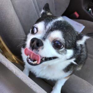 Meet your Posher, Valerie